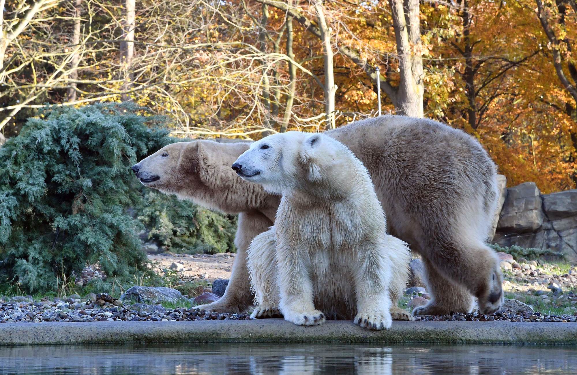 Zoo Rostock bleibt im November geöffnet - Zoo Rostock