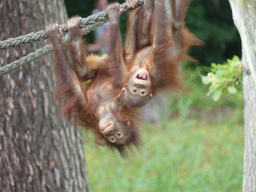 Kindertag_Zoo Rostock_Genilke.JPG
