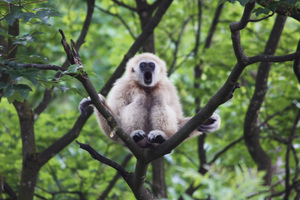 Teaserfoto Zoo Salzburg