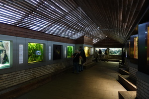 Mini-Galerie Zoo Wuppertal Foto 4