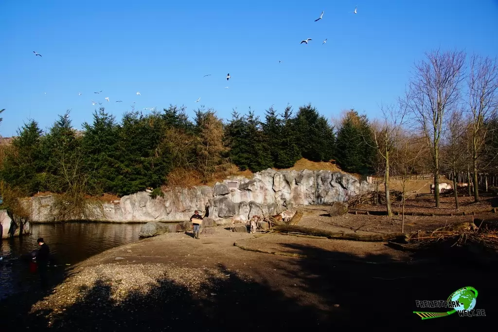 Rentier in der ZOOM Erlebniswelt - 2015