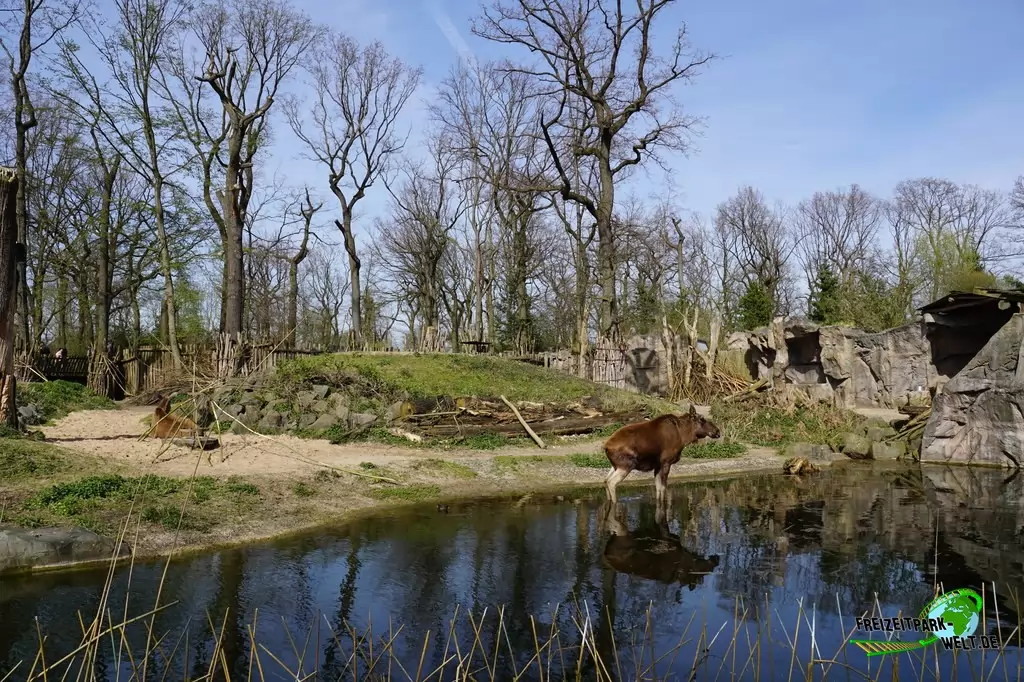 Elche in der ZOOM Erlebniswelt - 2015