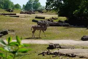 Teaserfoto ZOOM Erlebniswelt