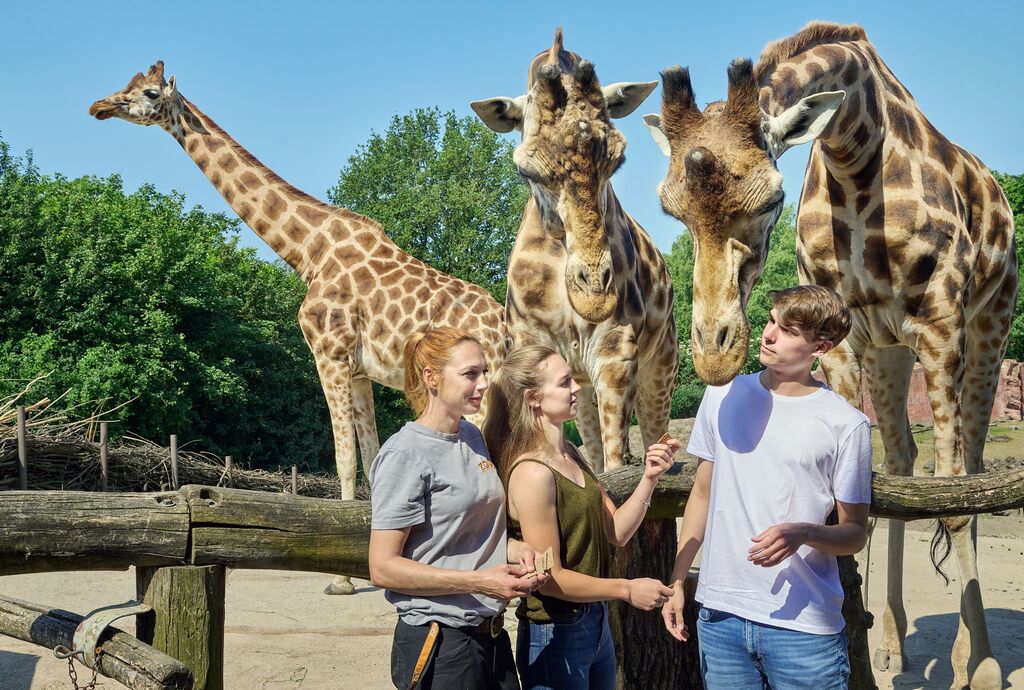 ZOOM Erlebniswelt_Welttag der Giraffe 2.jpg
