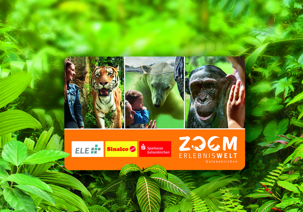 ZOOM_Erlebniswelt_Tageskartentausch (1).jpg